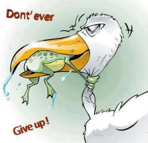 Dont ever give up